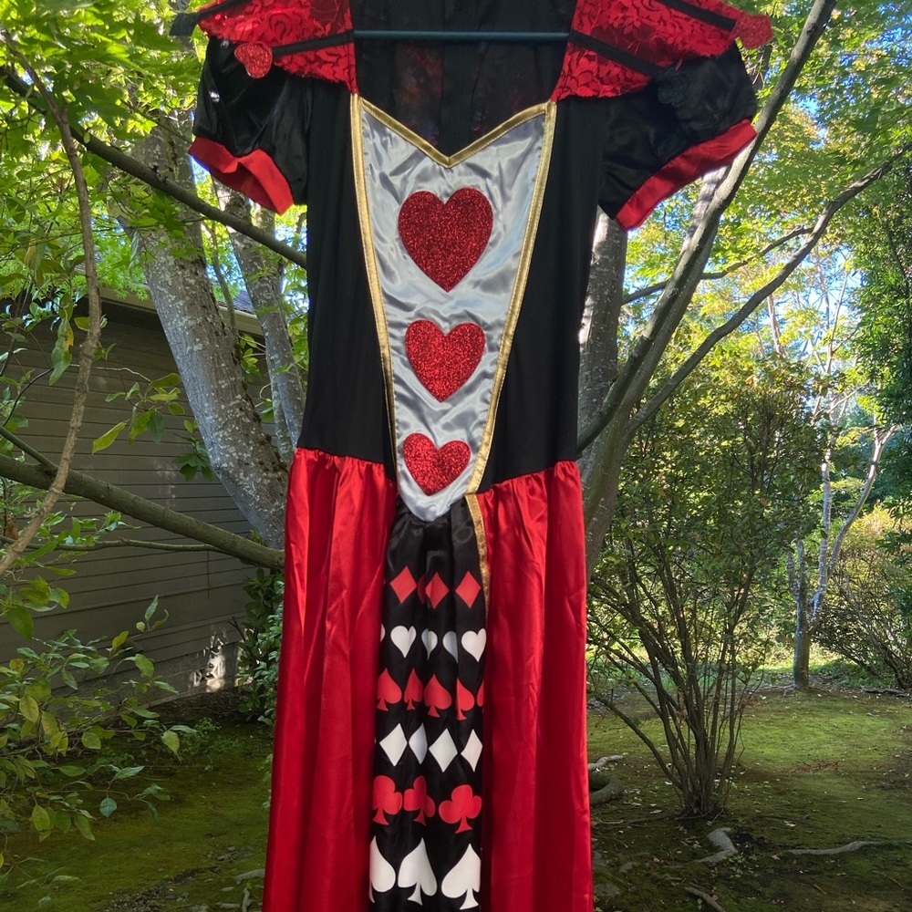 Queen of Hearts costume adult size S